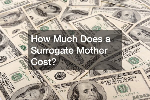 How Much Does a Surrogate Mother Cost?