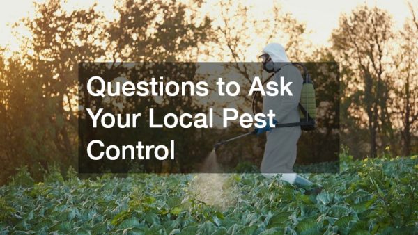 Questions to Ask Your Local Pest Control
